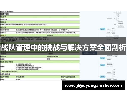 战队管理中的挑战与解决方案全面剖析