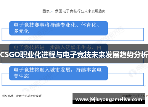 CSGO职业化进程与电子竞技未来发展趋势分析