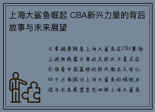 上海大鲨鱼崛起 CBA新兴力量的背后故事与未来展望